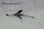 IMG_5576.jpg