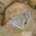 P1040702