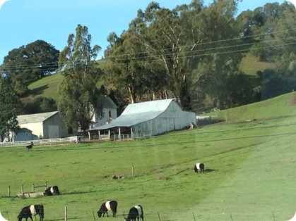 IMG_6544 IMG_6544