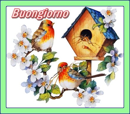 buon.jpg