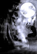 Darkness Moon Wicca