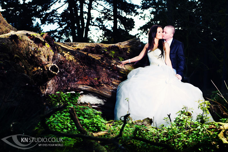 Tatton_Park_wedding_001.jpg
