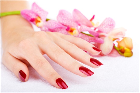 Woman hand with pink orchid Woman hand with pink orchid