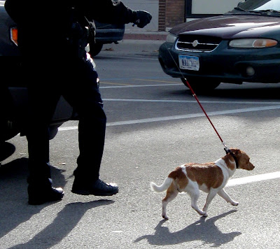 Washington Police Chief Greg Goodman guides a dog that had been in the car and that was also decontaminated
