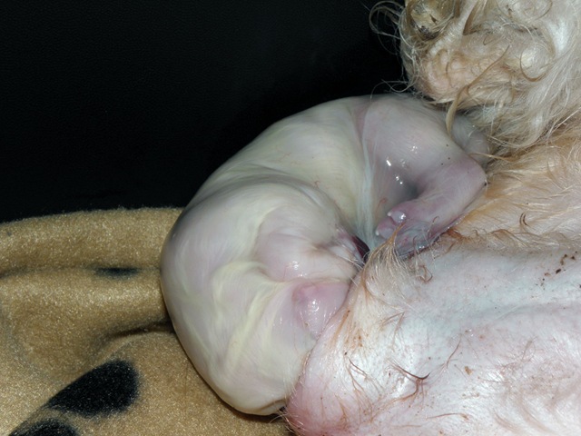 [afbeeld%2520024%255B4%255D.jpg]