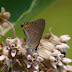 P1090352