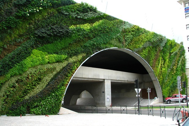 vertical garden by patrick blanc 8