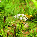 View album View album