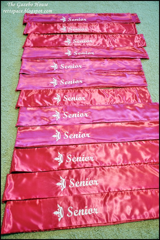 pageant sashes 012