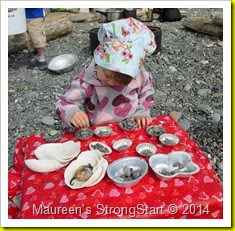IMG_4446 IMG_4446