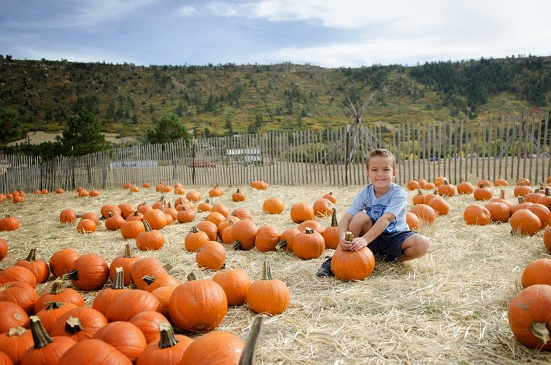pumpkinpatchMatt-3