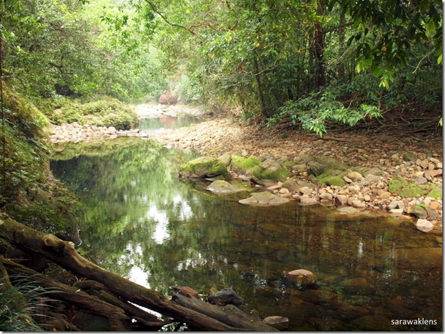 calm_river_sarawaklens2