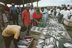 [dar02%255B2%255D.jpg]