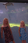 IMGP3531.jpg