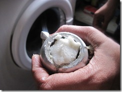 IMG_6038 IMG_6038