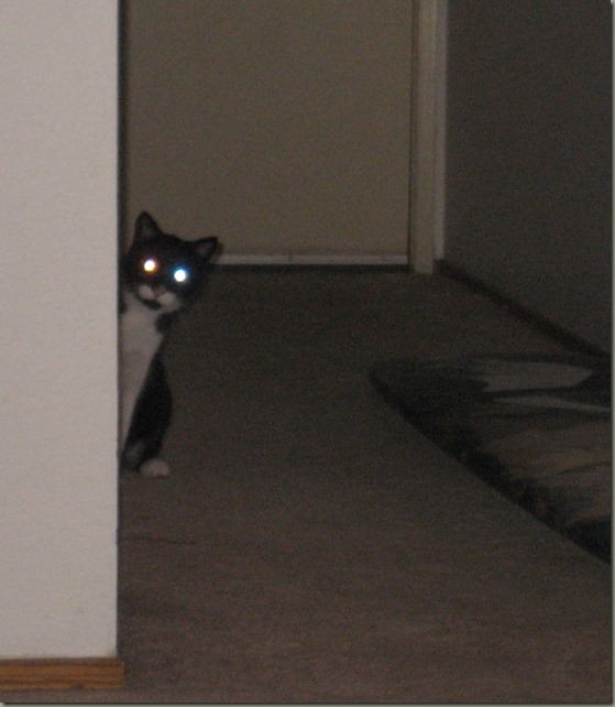 Red eye, Blue eye Red eye, Blue eye