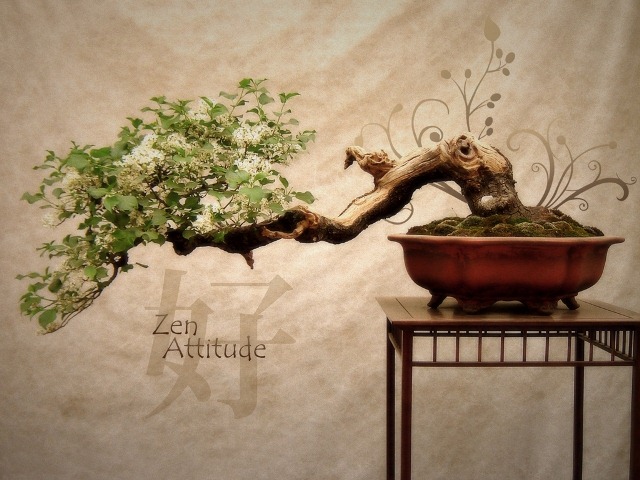 [Zen_Attitude-18%255B4%255D.jpg]