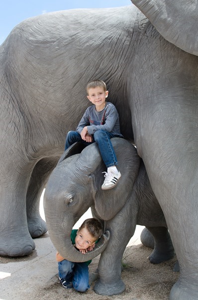 zoo-33