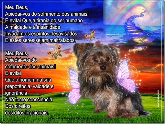 prece_dos_animais prece_dos_animais