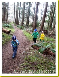 IMG_4530 IMG_4530