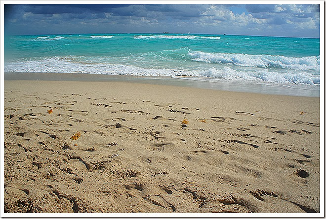 beaches-free-pictures-1 (870) beaches-free-pictures-1 (870)