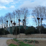 Imatge: Cam� de Sant Jaume 2
