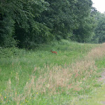 PICT4302.JPG