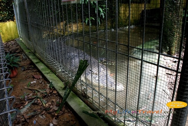 Langkawi Wildlife Park Langkawi Wildlife Park