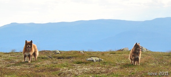 Bukollen 032 Bukollen 032