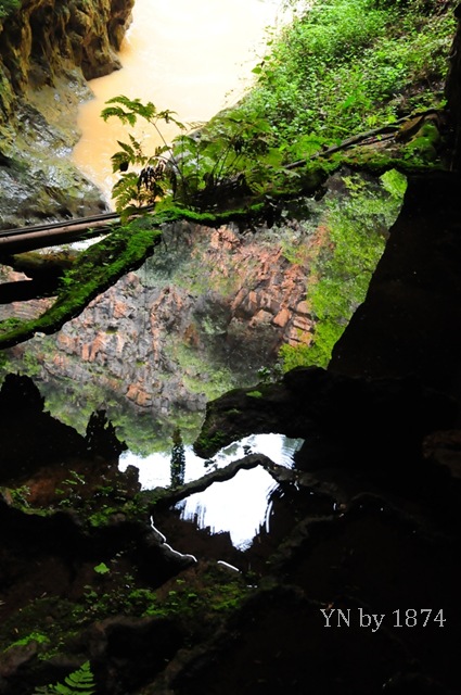 [DSC_5543%255B9%255D.jpg]