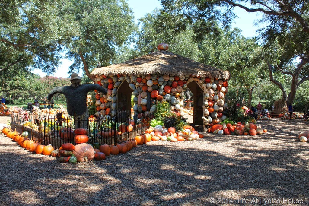 [Dallas-Arboretum---pumpkin-festival-%255B20%255D.jpg]