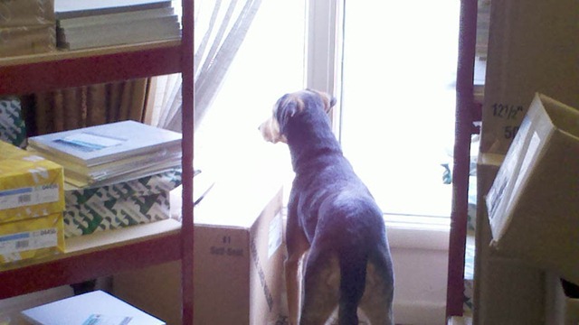 [2012-02-24_10-45-43_966%255B3%255D.jpg]