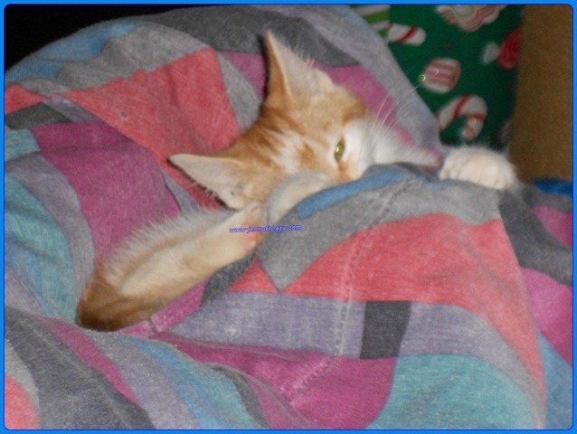 DSCN0423