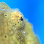 DSC_2188.jpg