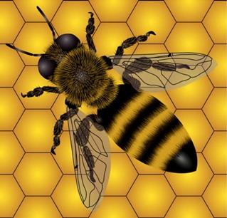 honey-bee-mock-comb