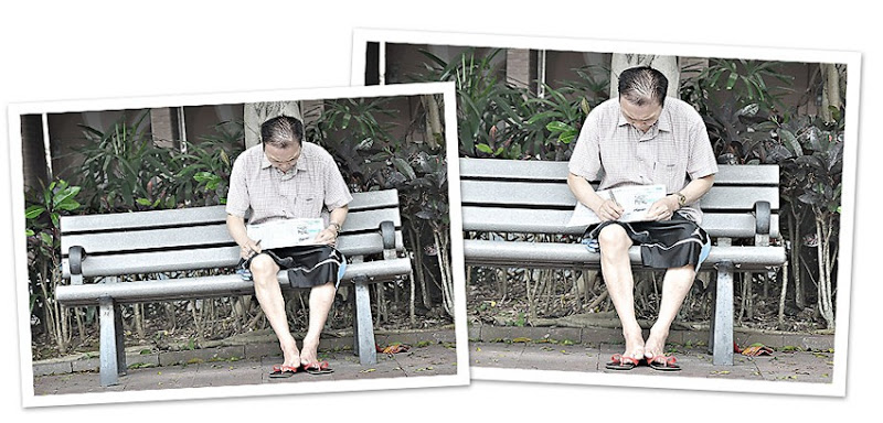Picking-horses-collage Picking-horses-collage