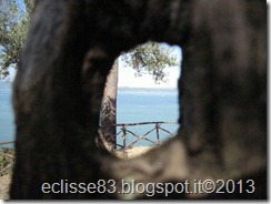 IMG_0207 IMG_0207