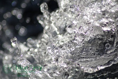 Trengwainton Gardens-9.jpg