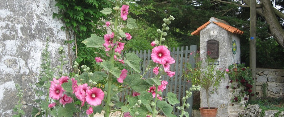 [mmclosjardin%255B5%255D.jpg]