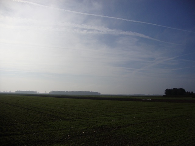 [pics%2520071%255B2%255D.jpg]
