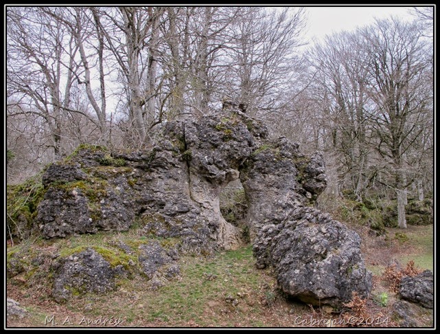 artea 011 artea 011