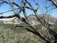IMG_8987.JPG Photo