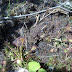 2012-06-08_11-29-58_485
