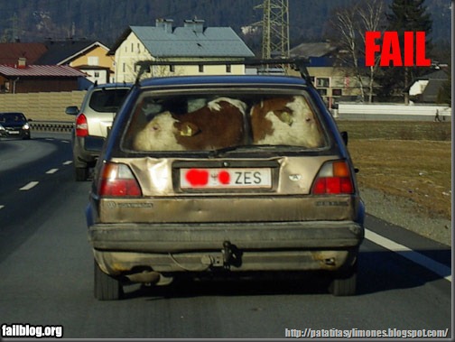 fail patatitasylimones (23)