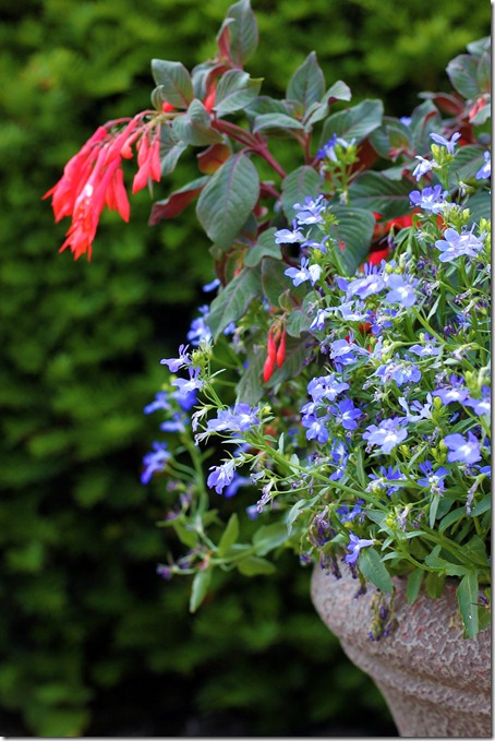front flowers 3