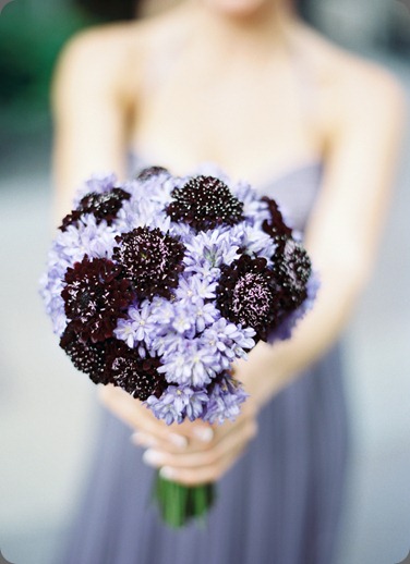 6a00e552795b9d8833014e8b7d0d47970d-800wi rountree flowers and karen wise photo 6a00e552795b9d8833014e8b7d0d47970d-800wi rountree flowers and karen wise photo