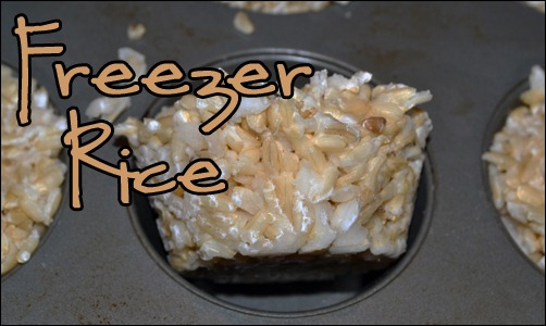 freezer rice freezer rice