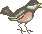 [bird-1%255B2%255D.gif]