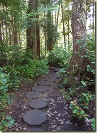 Part of the trail was cut off tree stumps