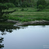 dsc03706.jpg
